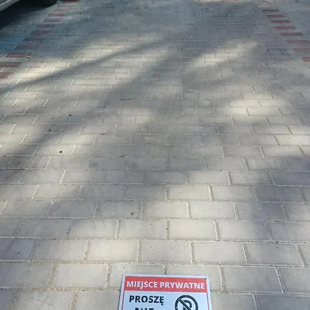 Ajp Gold Dabie 슈체친