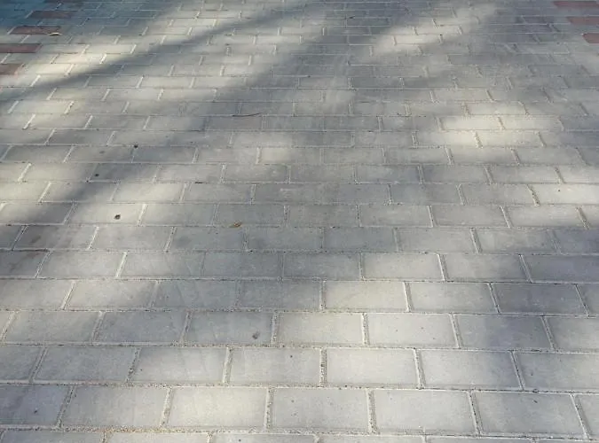 Ajp Gold Dabie Estetino